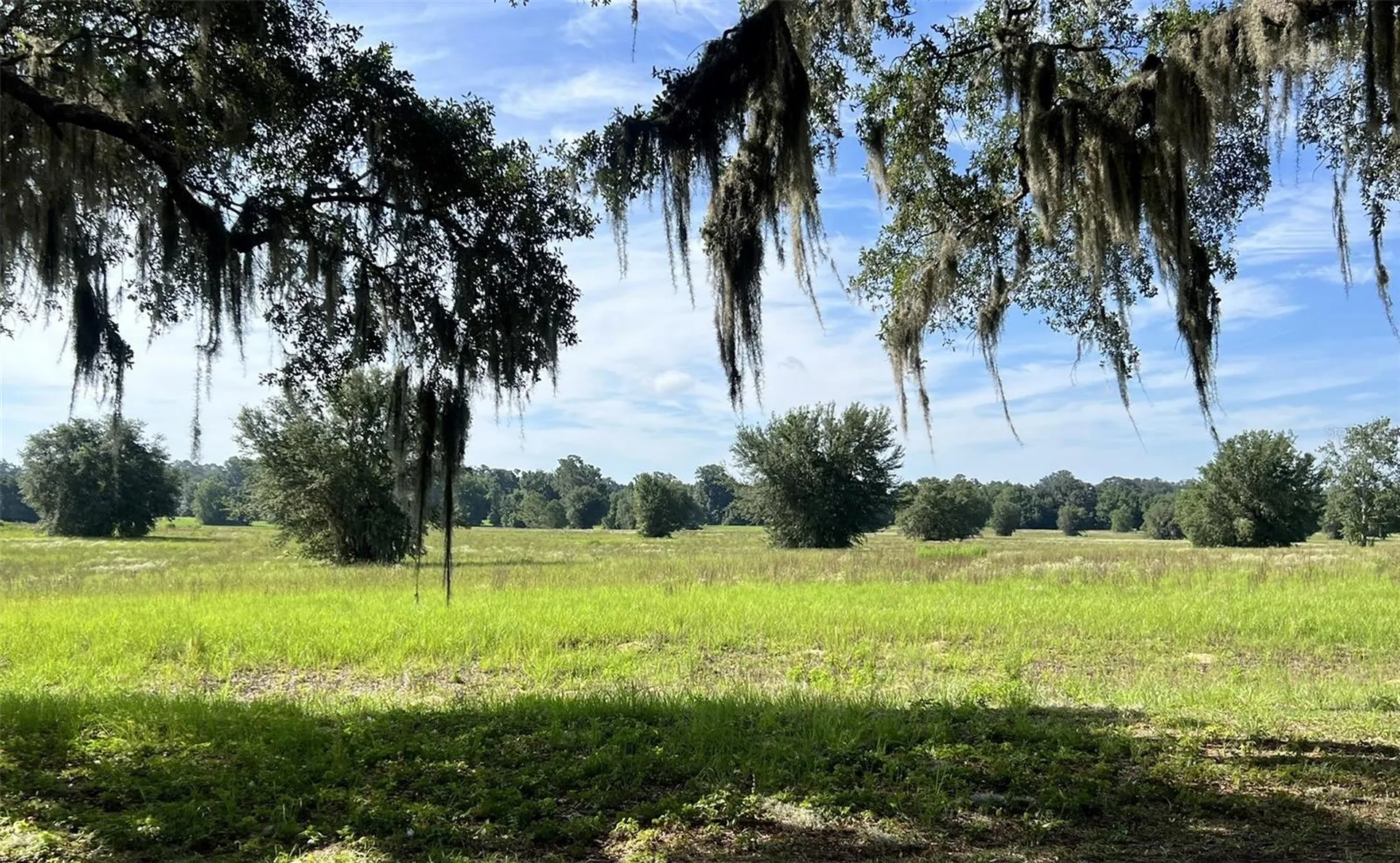 0 SE 116th Place Road Ocala FL 34480
