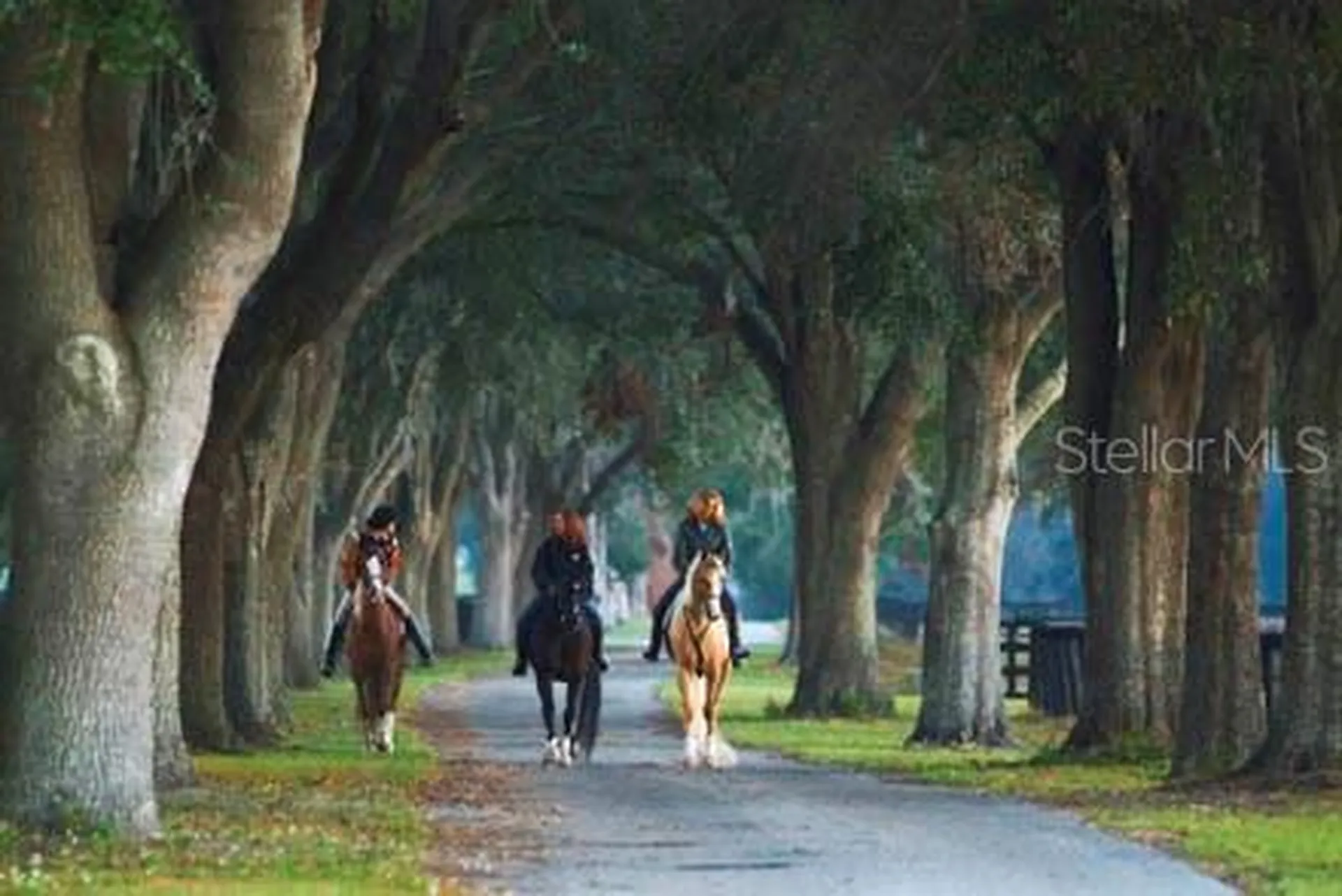 0 SE 116th Place Road Ocala FL 34480