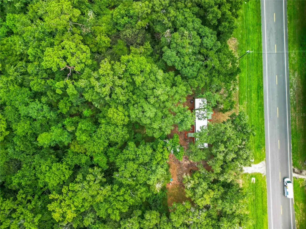 13026 SW Williston Road Micanopy FL 32667