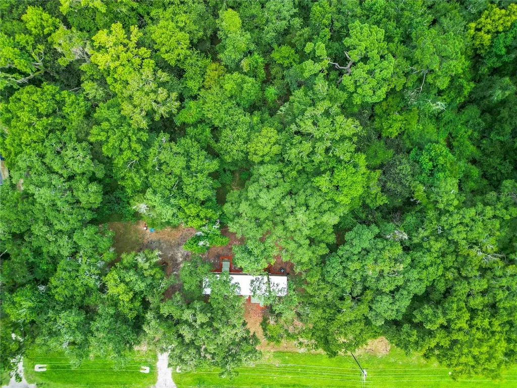 13026 SW Williston Road Micanopy FL 32667