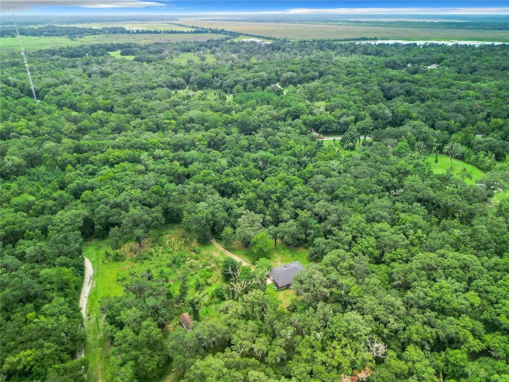13026 SW Williston Road Micanopy FL 32667