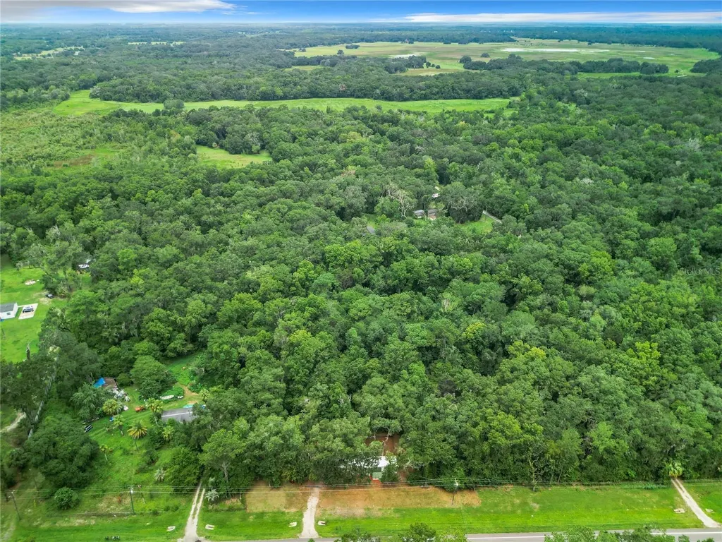 13026 SW Williston Road Micanopy FL 32667