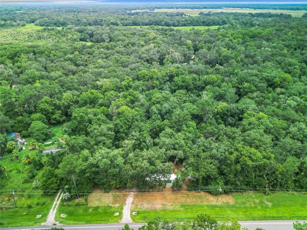 13026 SW Williston Road Micanopy FL 32667