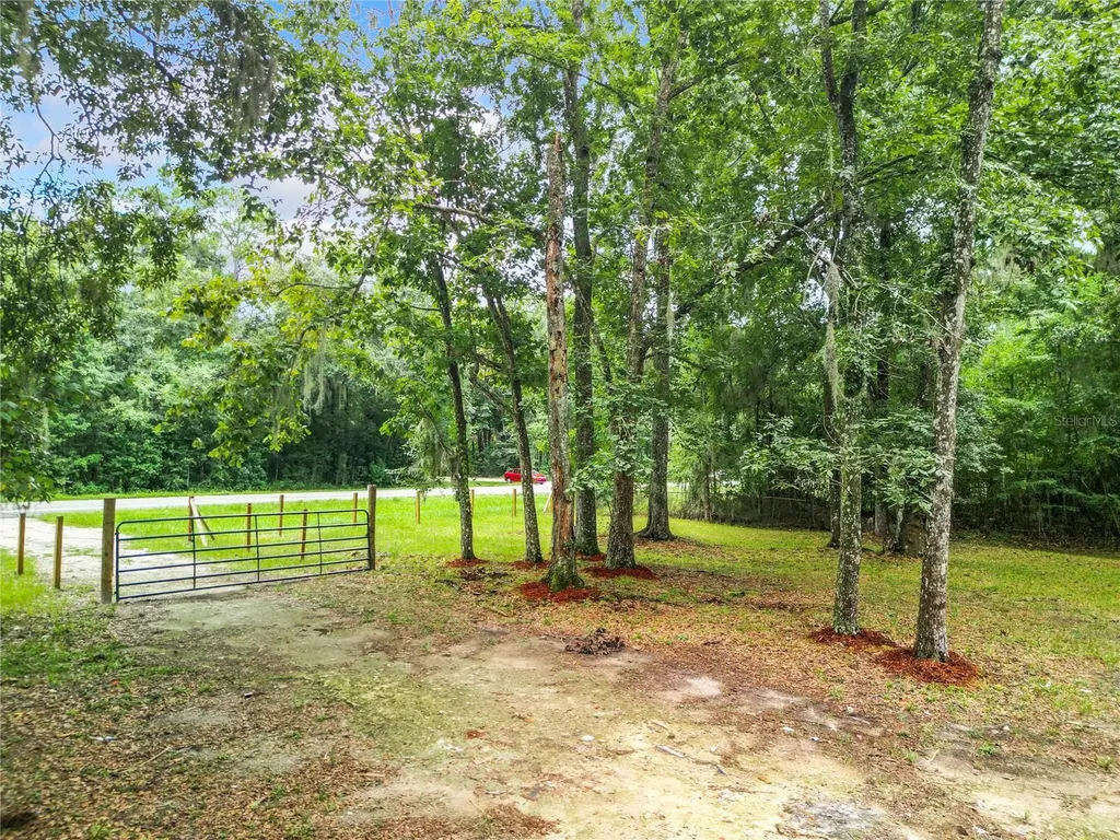 13026 SW Williston Road Micanopy FL 32667
