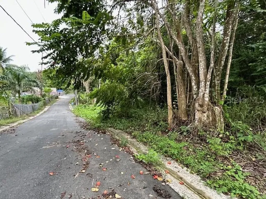 Campo Nuevo-azucena 2 Vega Alta PR 00692