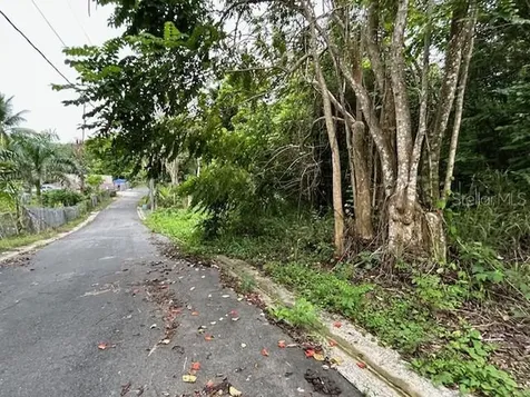 Campo Nuevo-azucena 2 Vega Alta PR 00692