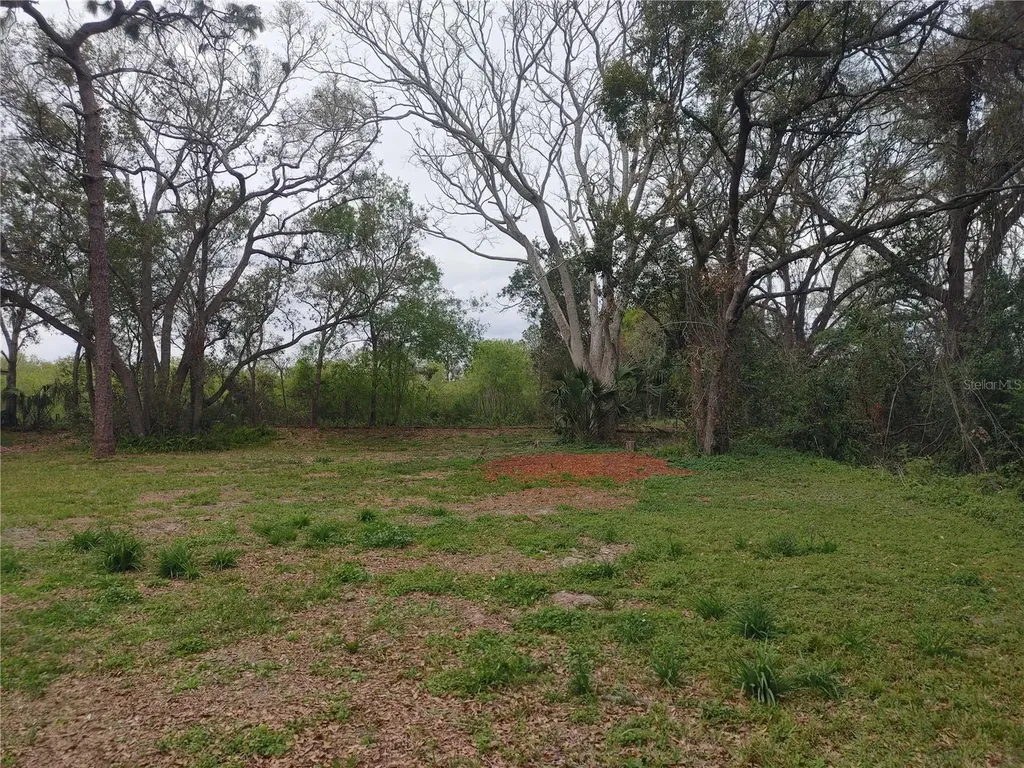 215 W 131st Avenue Tampa FL 33612