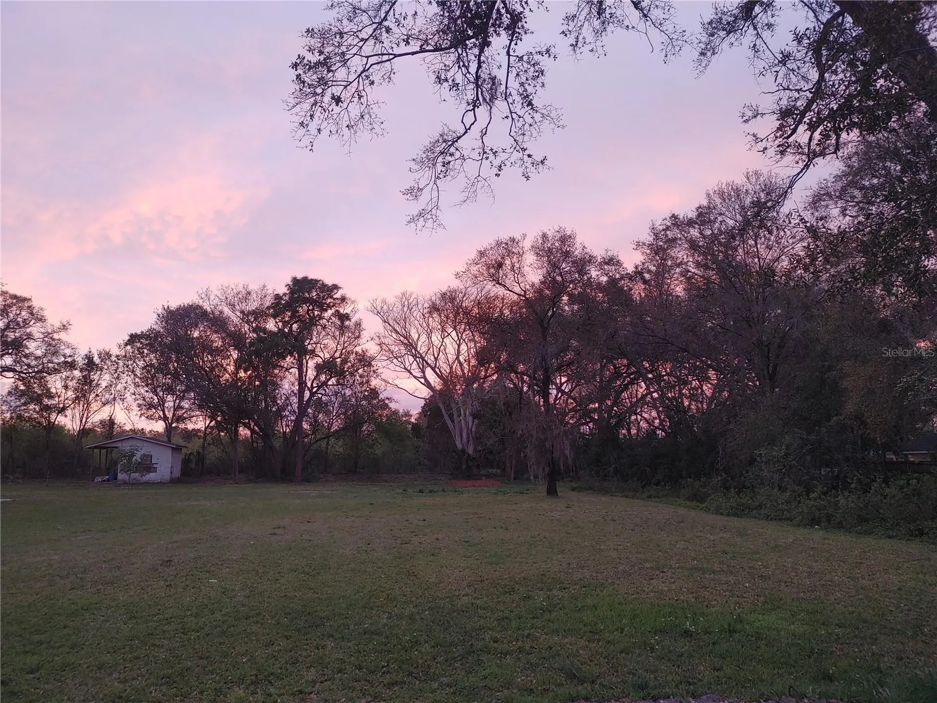 215 W 131st Avenue Tampa FL 33612