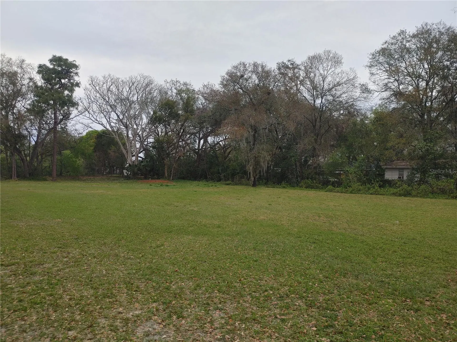 215 W 131st Avenue Tampa FL 33612