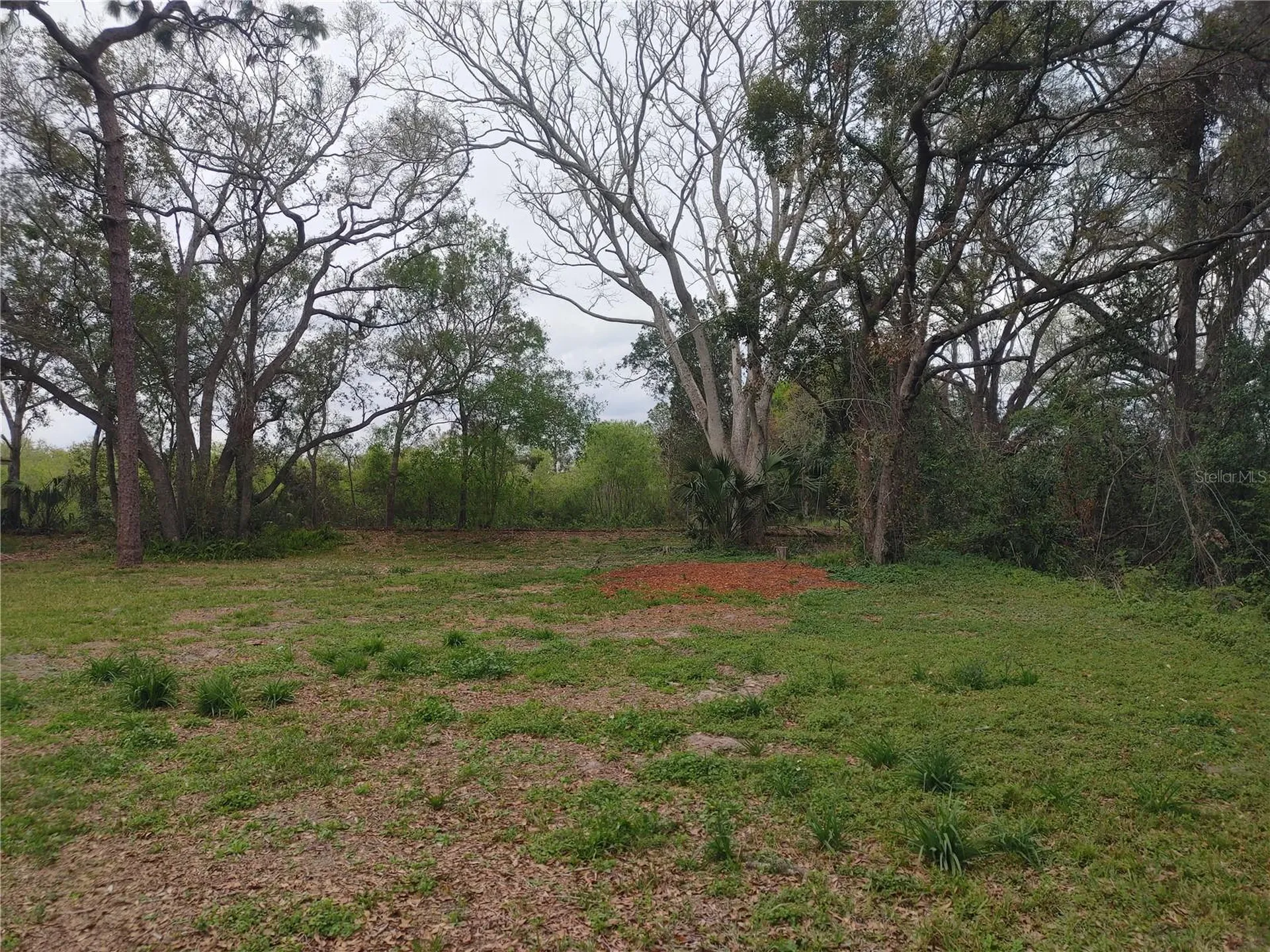 215 W 131st Avenue Tampa FL 33612