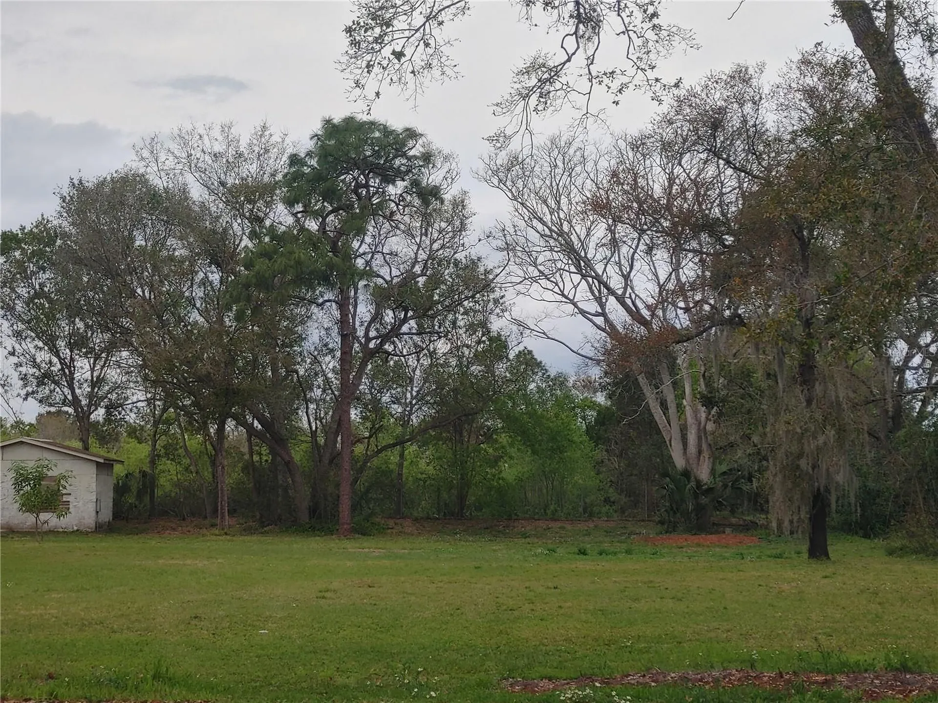 215 W 131st Avenue Tampa FL 33612