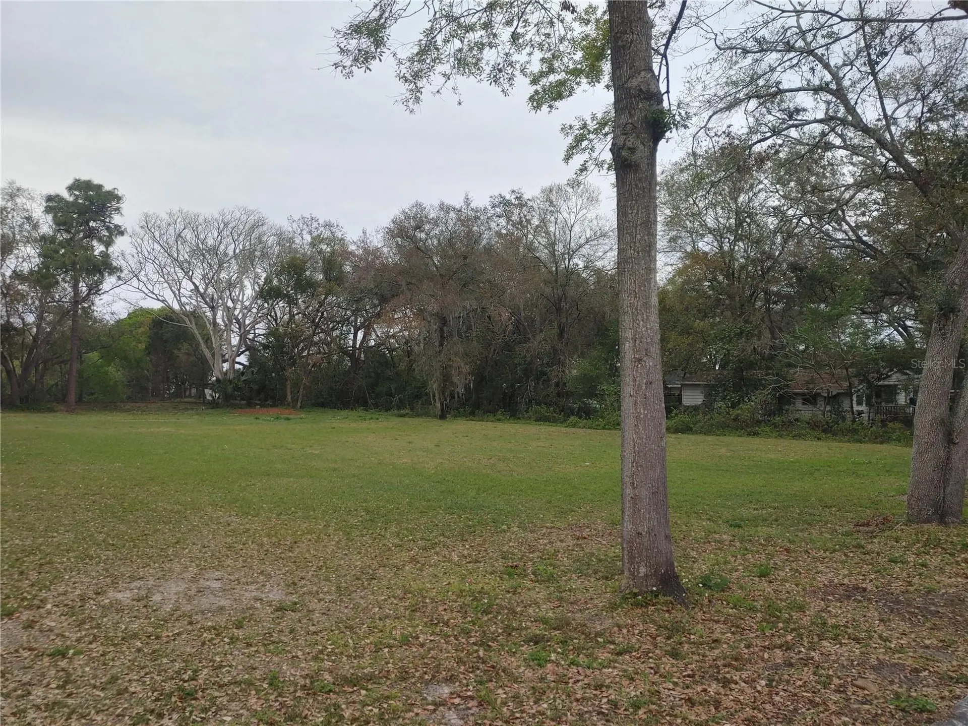 215 W 131st Avenue Tampa FL 33612