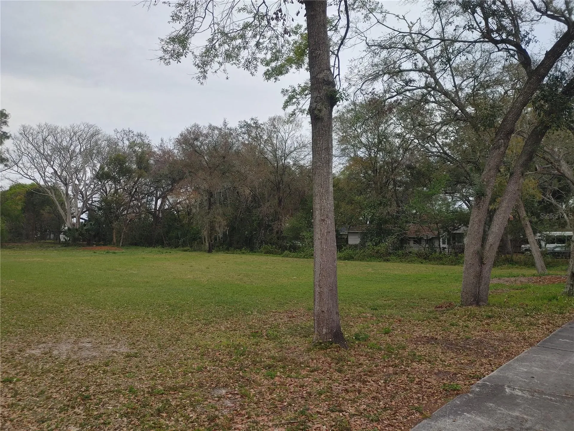 215 W 131st Avenue Tampa FL 33612