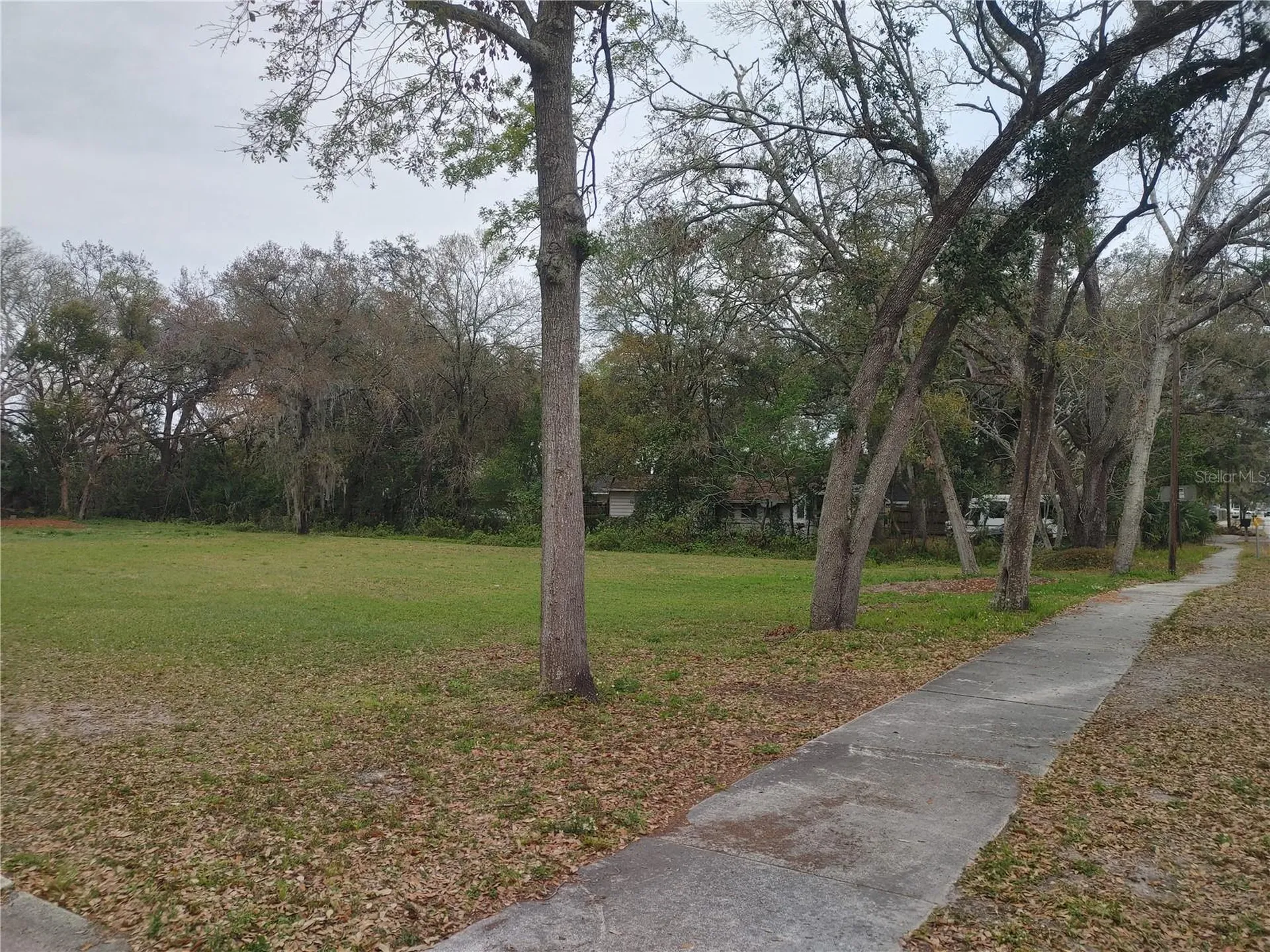 215 W 131st Avenue Tampa FL 33612
