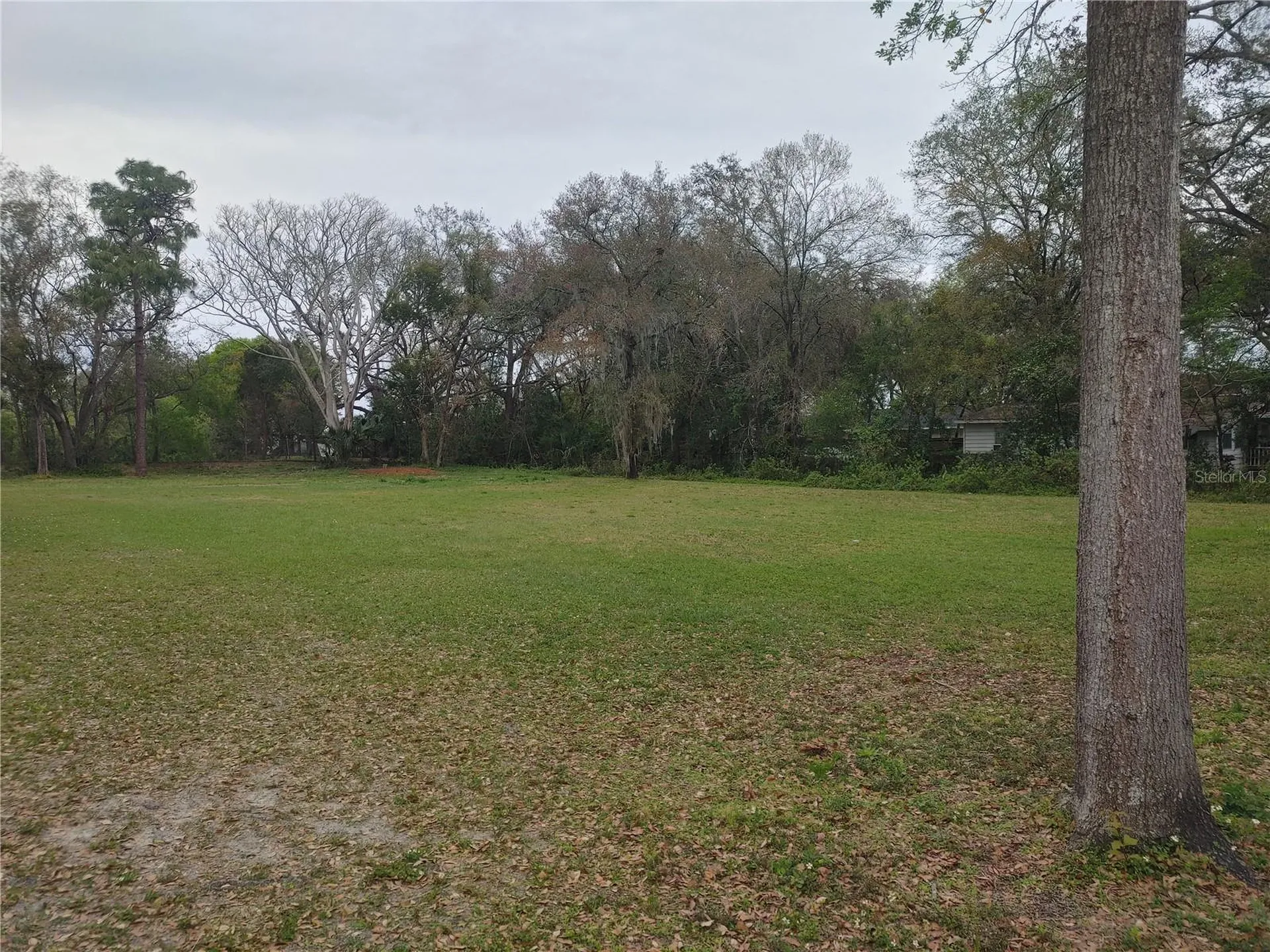 215 W 131st Avenue Tampa FL 33612