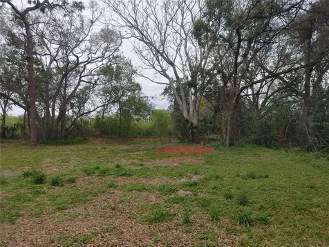215 W 131st Avenue Tampa FL 33612