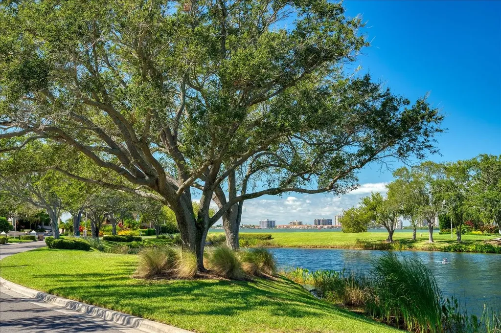 Saint Andrews Drive Belleair FL 33756