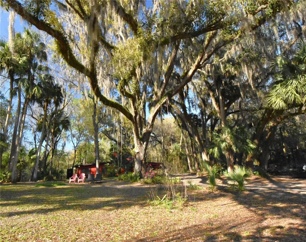 1302 SE Wacahoota Road Micanopy FL 32667