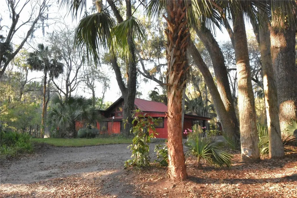 1302 SE Wacahoota Road Micanopy FL 32667