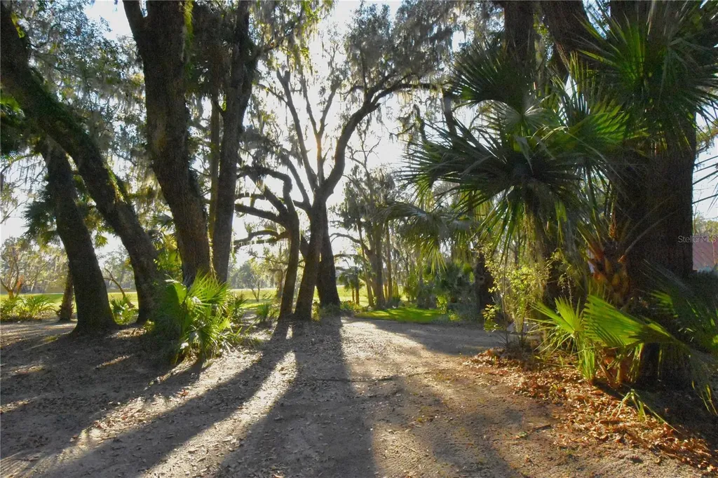 1302 SE Wacahoota Road Micanopy FL 32667