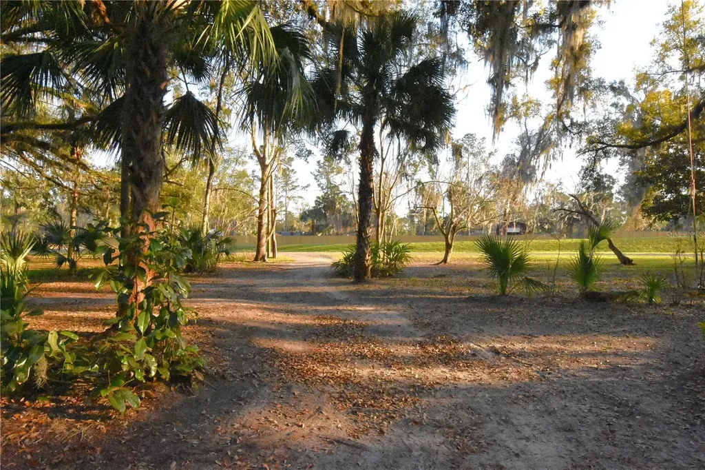 1302 SE Wacahoota Road Micanopy FL 32667