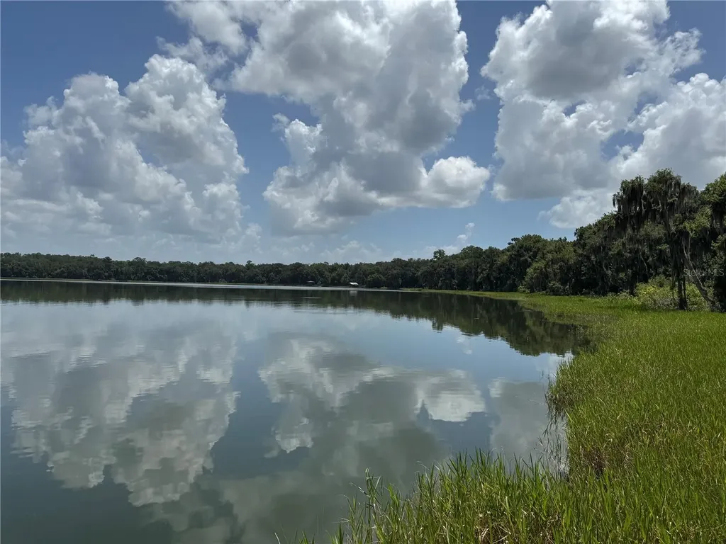 1302 SE Wacahoota Road Micanopy FL 32667