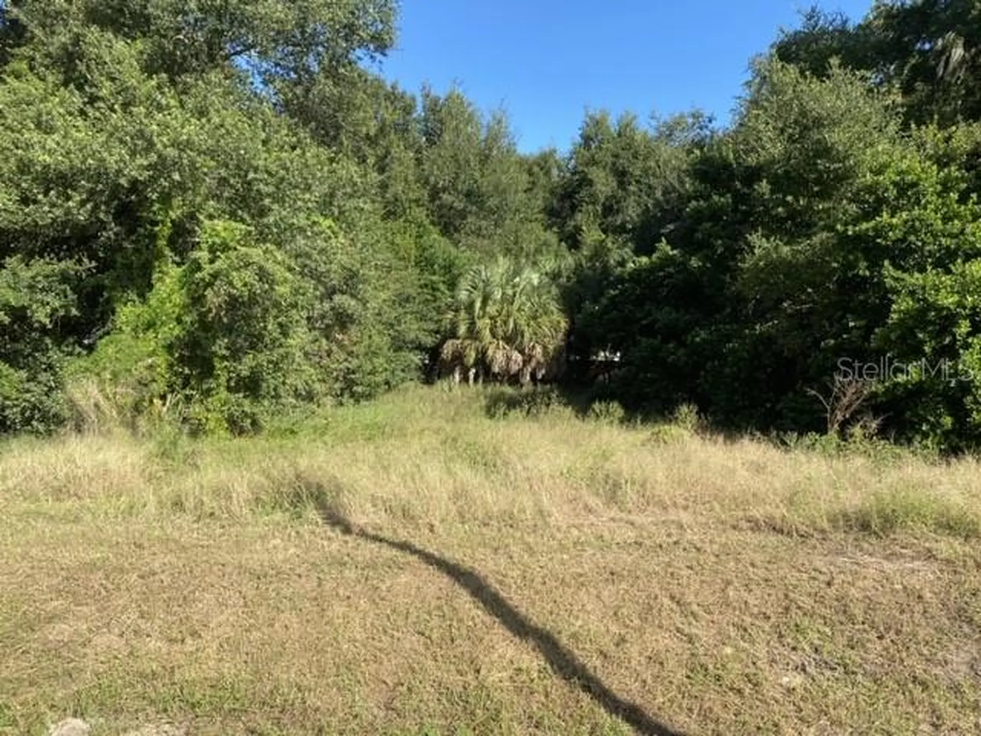 US-441 Eustis FL 32726