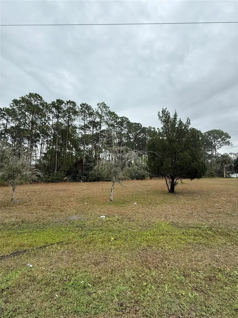 245 Ullian Trail Palm Coast FL 32164