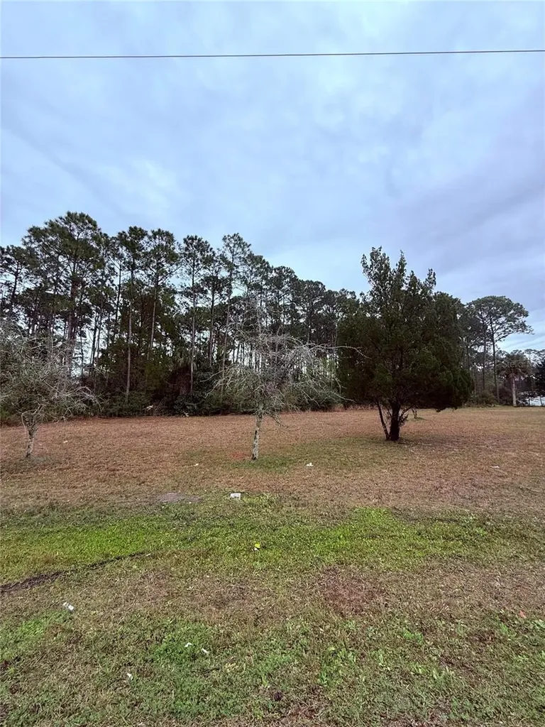 245 Ullian Trail Palm Coast FL 32164
