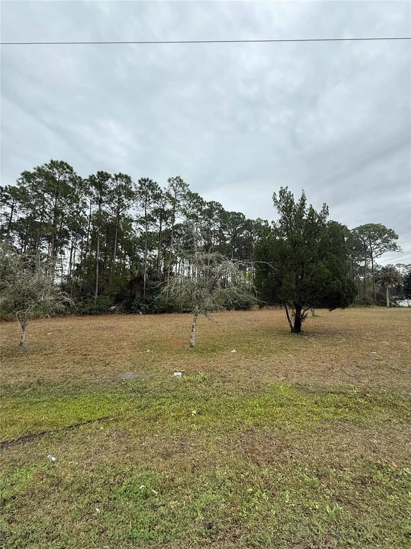 245 Ullian Trail Palm Coast FL 32164