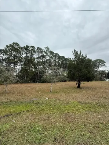 245 Ullian Trail Palm Coast FL 32164