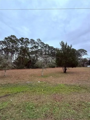245 Ullian Trail Palm Coast FL 32164