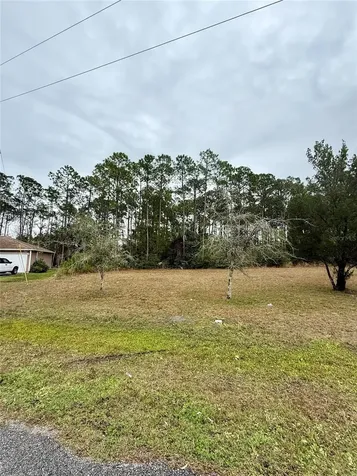 245 Ullian Trail Palm Coast FL 32164