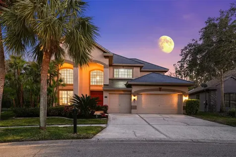 10436 Greendale Drive Tampa FL 33626