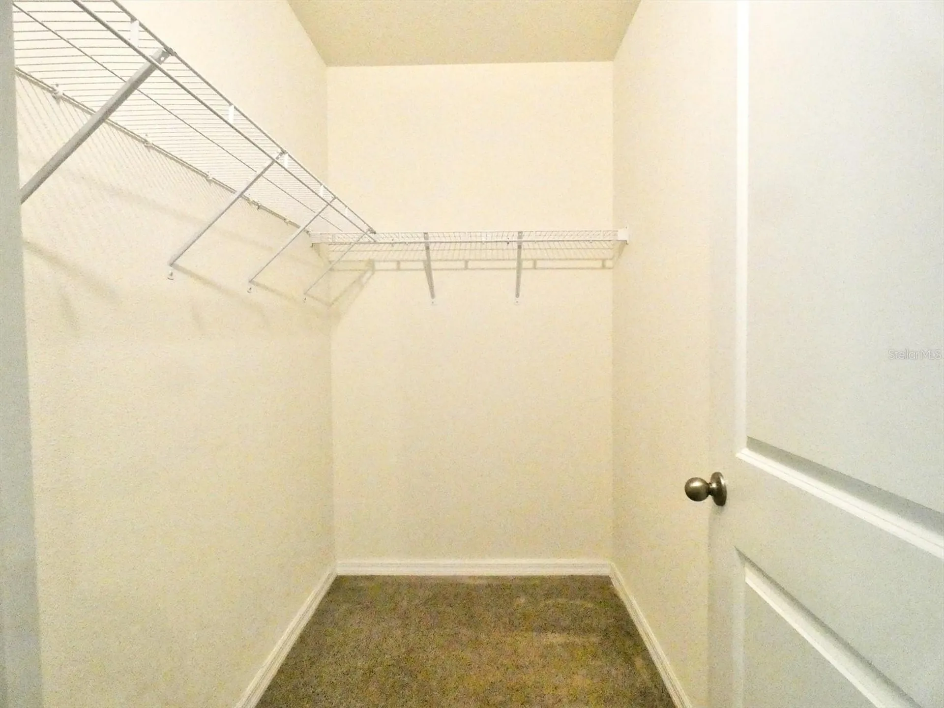 17014 Oval Rum Drive Wimauma FL 33598