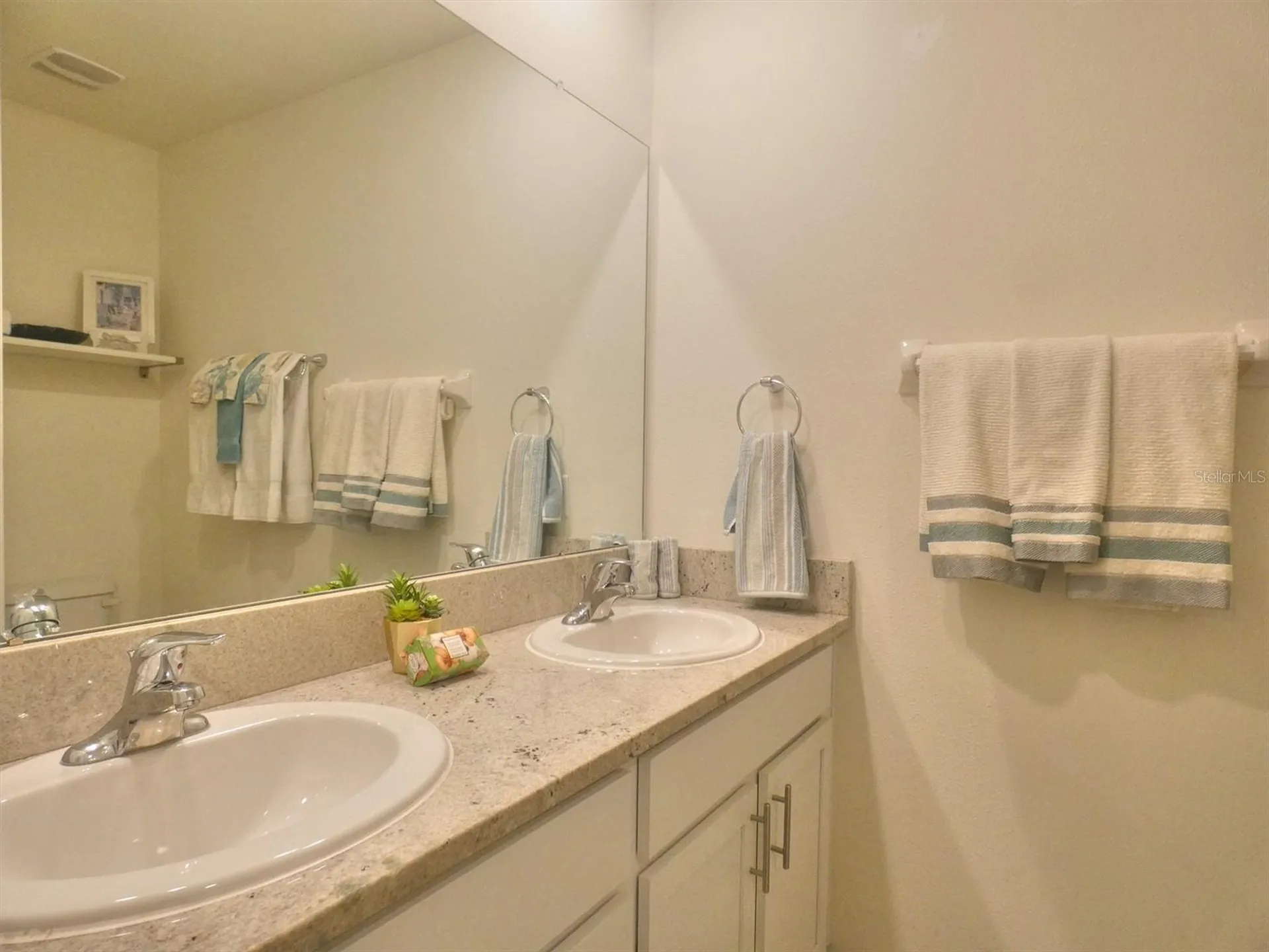 17014 Oval Rum Drive Wimauma FL 33598