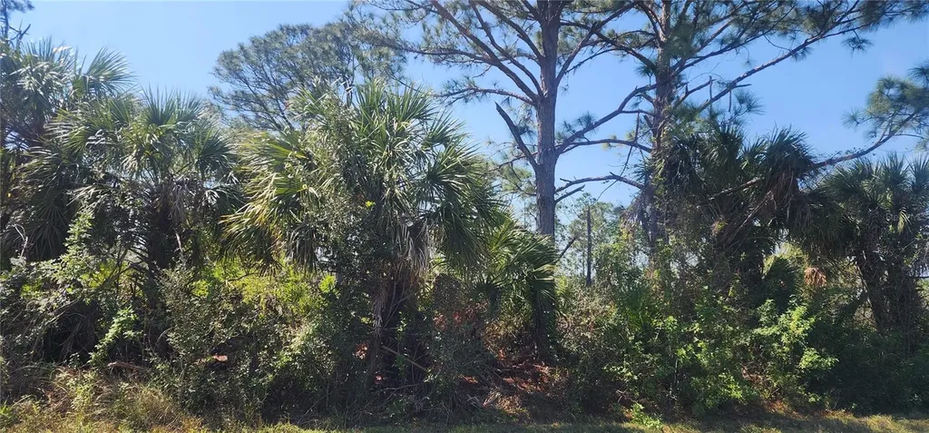 2157 Saipan Lane Port Charlotte FL 33953