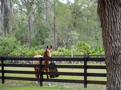 1715 Fern Park Drive Port Orange FL 32128