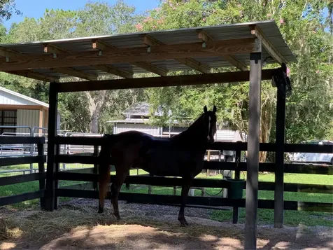 1715 Fern Park Drive Port Orange FL 32128