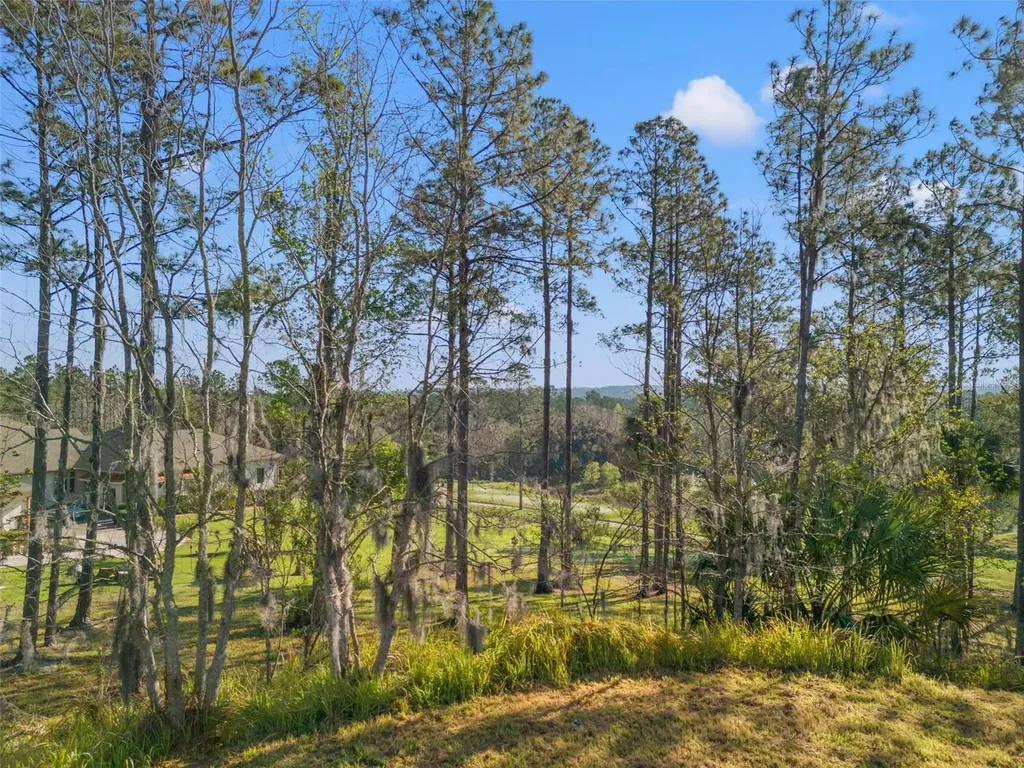 20132 English Walnut Place Brooksville FL 34601
