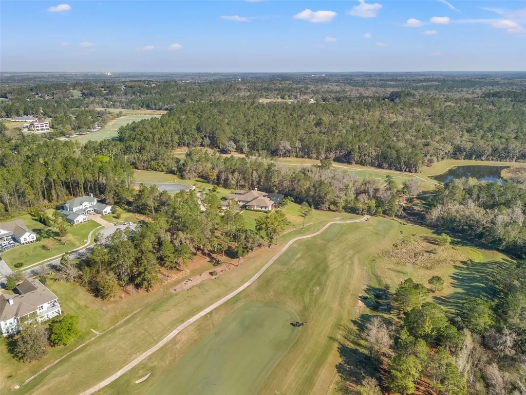 20132 English Walnut Place Brooksville FL 34601