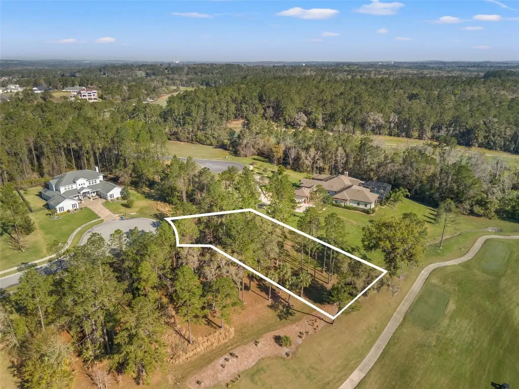 20132 English Walnut Place Brooksville FL 34601