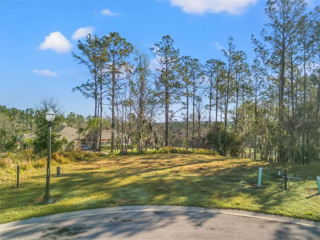 20132 English Walnut Place Brooksville FL 34601