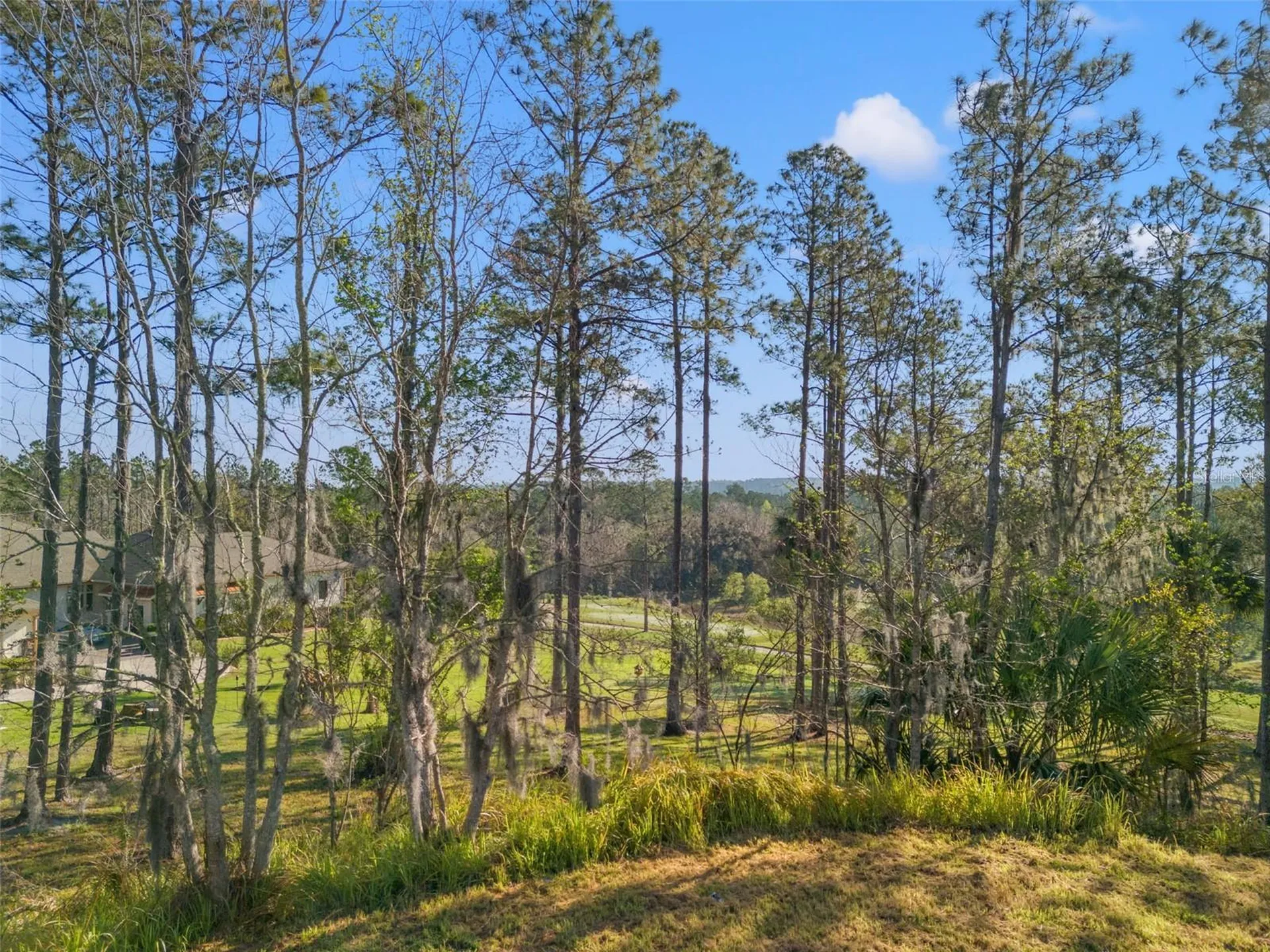 20132 English Walnut Place Brooksville FL 34601