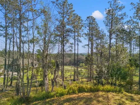 20132 English Walnut Place Brooksville FL 34601