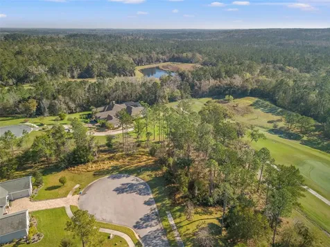 20132 English Walnut Place Brooksville FL 34601