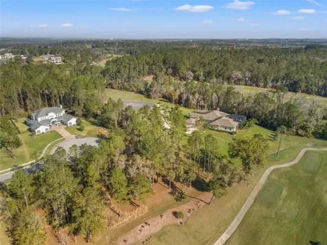 20132 English Walnut Place Brooksville FL 34601