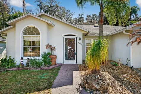 2576 Shilo Glynn Lane New Smyrna Beach FL 32168