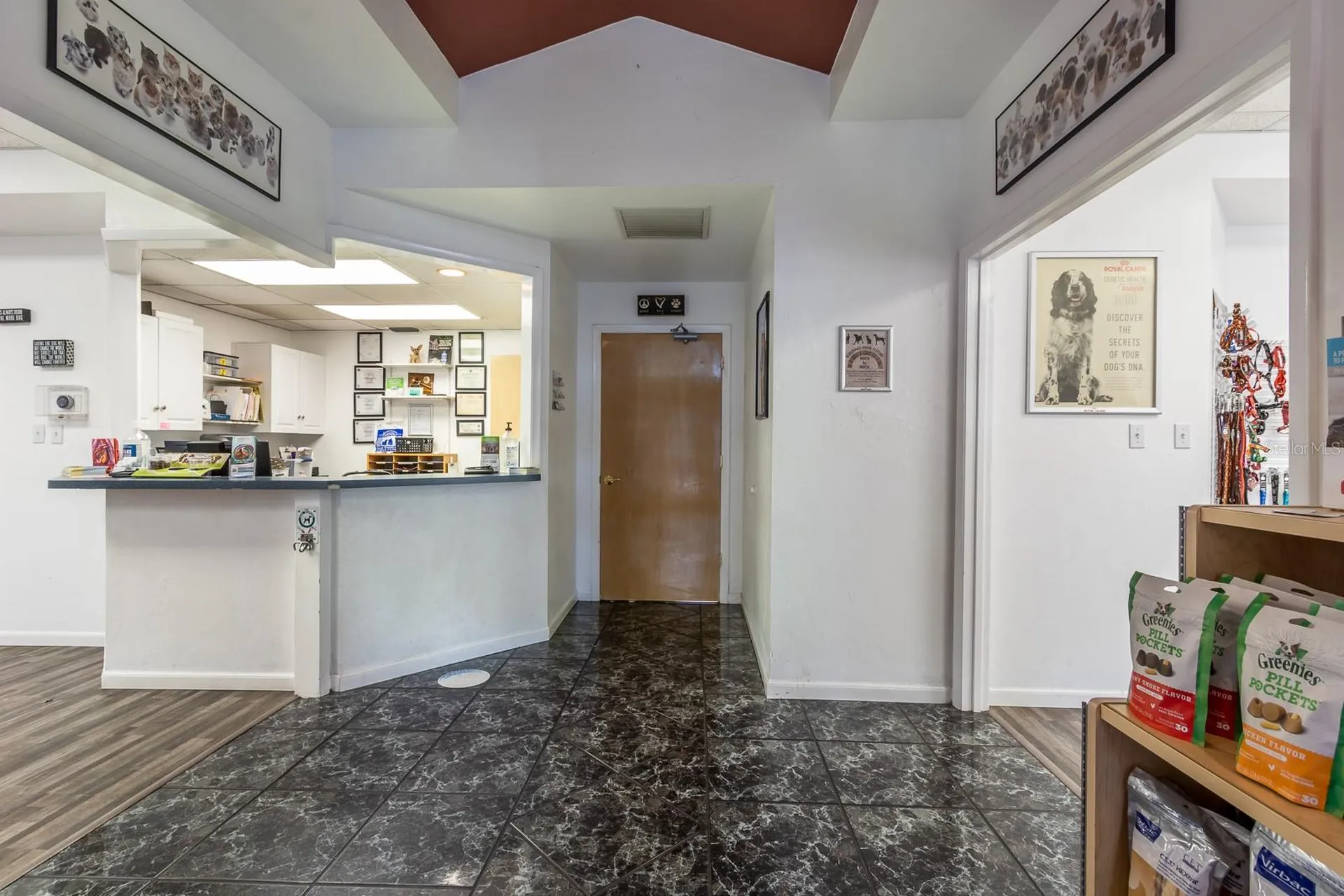 5213 & 5217 & 5231 SW 91st Drive Gainesville FL 32608