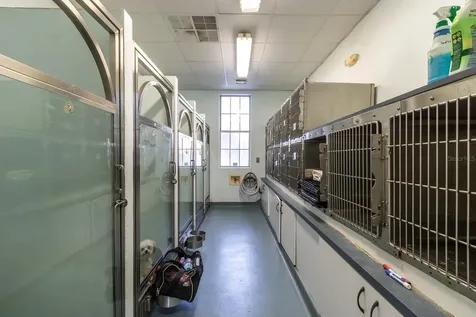 5213 & 5217 & 5231 SW 91st Drive Gainesville FL 32608